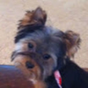 Meet your Posher, Katherine